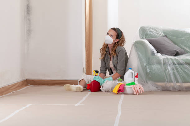 Reliable Mold Remediation contractor in Roslyn, NY by WQB Mold Removal
